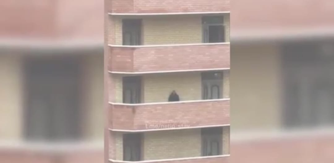 إنقاذ رجل حاول القفز من شرفة منزله فى روسيا (3) إنقاذ رجل حاول القفز من شرفة منزله فى روسيا (3)
