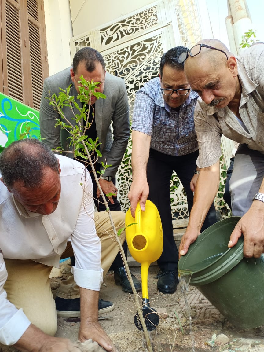 التشجير التشجير