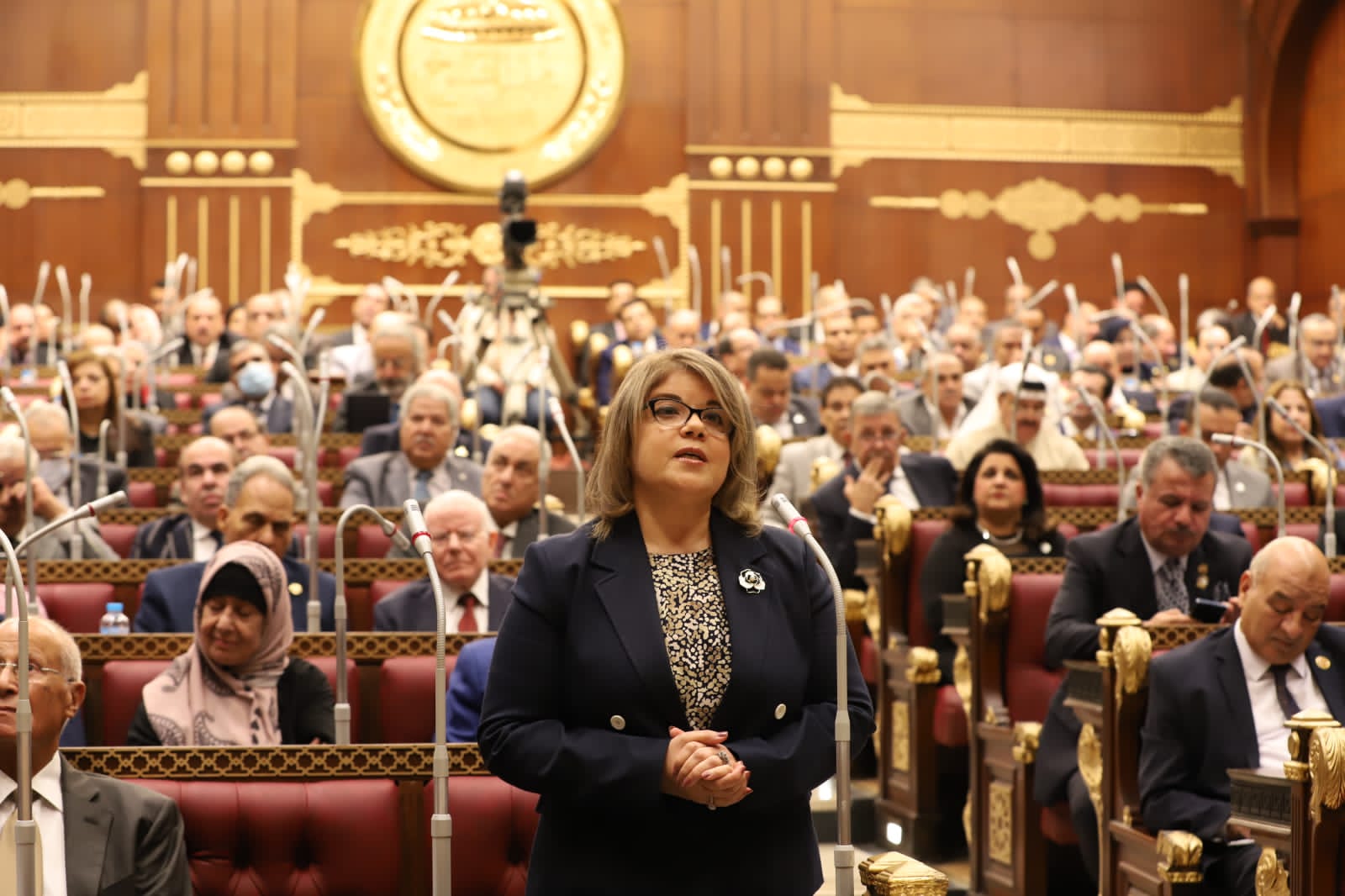 النائبة فيبي فوزي النائبة فيبي فوزي