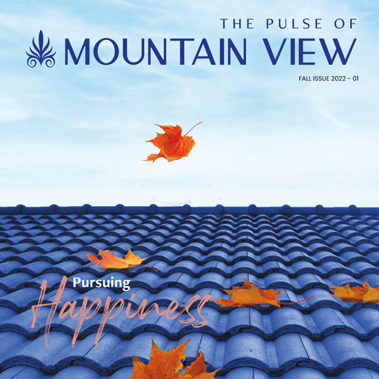 The-Pulse-of-Mountain-View-(2) The-Pulse-of-Mountain-View-(2)