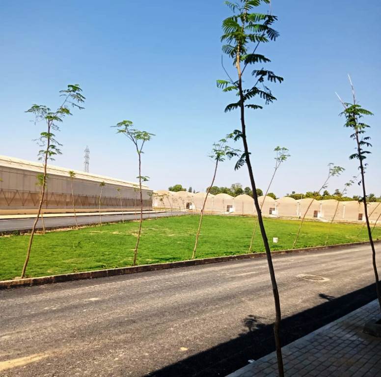 مشروعات حياة كريمة بقري كوم امبو بمحافظة أسوان (4) مشروعات حياة كريمة بقري كوم امبو بمحافظة أسوان (4)