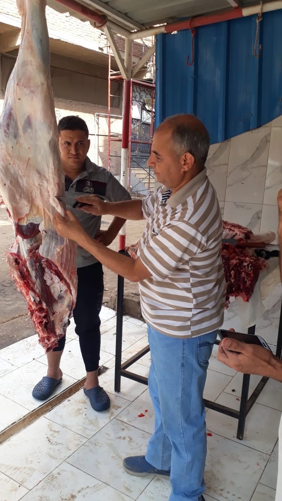 ضبط لحوم ودواجن غير صالحة للاستهلاك (3) ضبط لحوم ودواجن غير صالحة للاستهلاك (3)