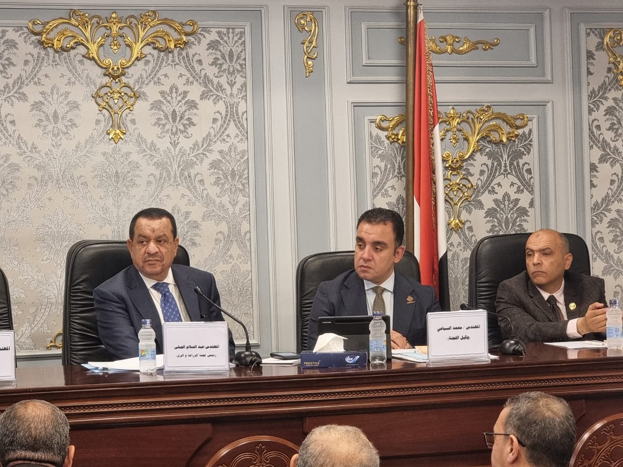 جنة الزراعة والرى بمجلس الشيوخ (2) جنة الزراعة والرى بمجلس الشيوخ (2)