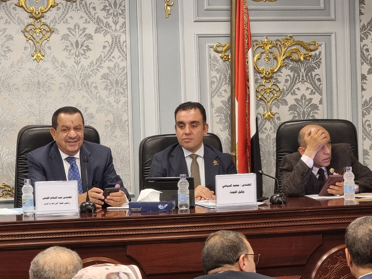 جنة الزراعة والرى بمجلس الشيوخ (3) جنة الزراعة والرى بمجلس الشيوخ (3)