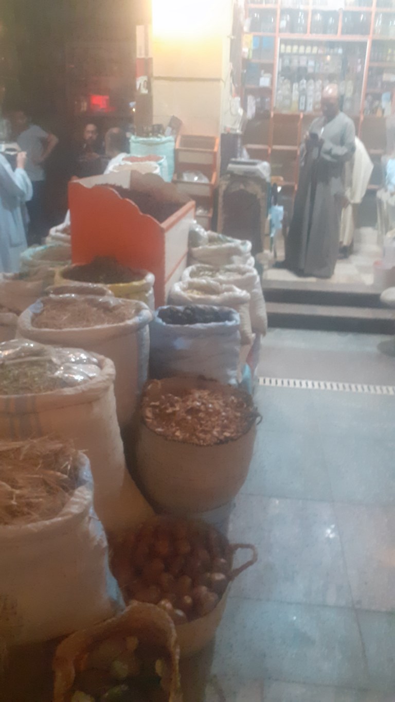 السوق السياحي بأسوان (8) السوق السياحي بأسوان (8)