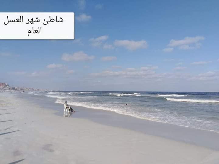شواطئ العجمى شواطئ العجمى
