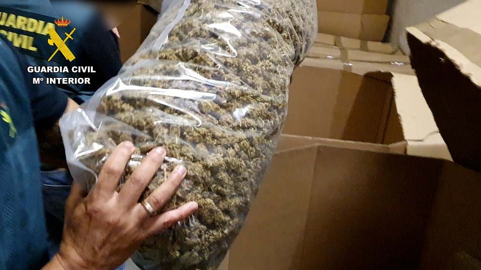 المضبوطات المضبوطات