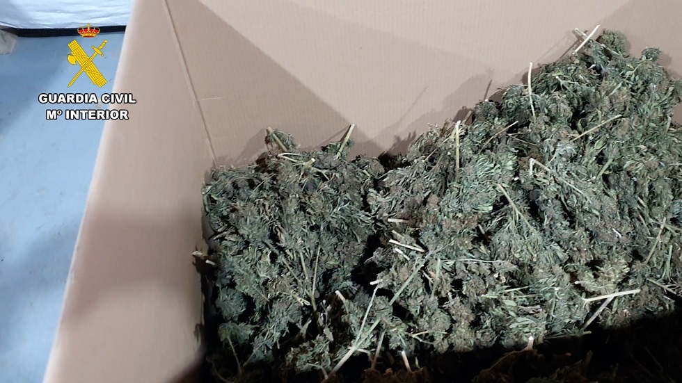 جانب من المضبوطات جانب من المضبوطات