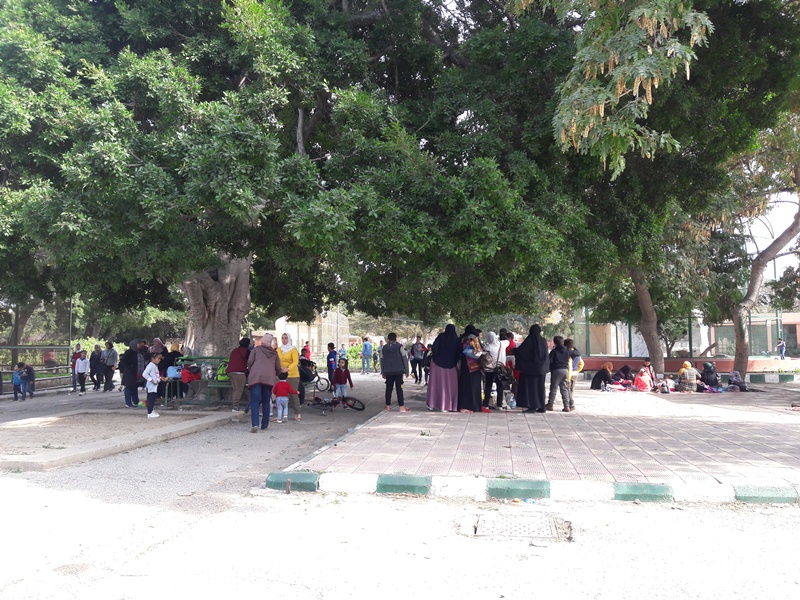 متعة التنزة فى حديقة الحيوان فى الشتاء (5) متعة التنزة فى حديقة الحيوان فى الشتاء (5)