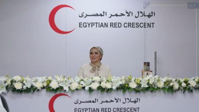 السيدة انتصار السيسي