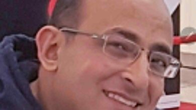 محمد محمود عيسى