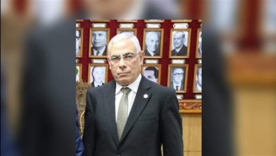 النائب العام الجديد المستشار محمد شوقي