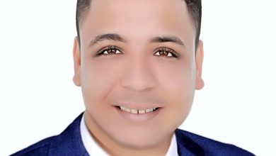 الأستاذ محمد صبحي