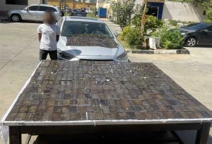 المتهم والمضبوطات