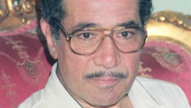 محمد الموجي