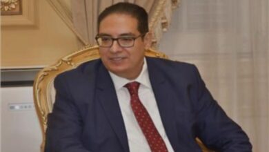 الأستاذ الدكتور محمد سامي عبد الصادق، رئيس جامعة القاهرة